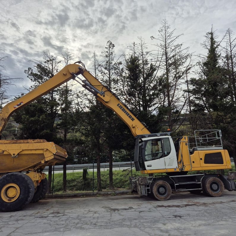 2018 Liebherr LH30 M Material Handler