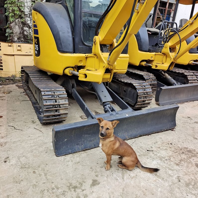 2023 Komatsu PC35MR-2 Mini Excavator