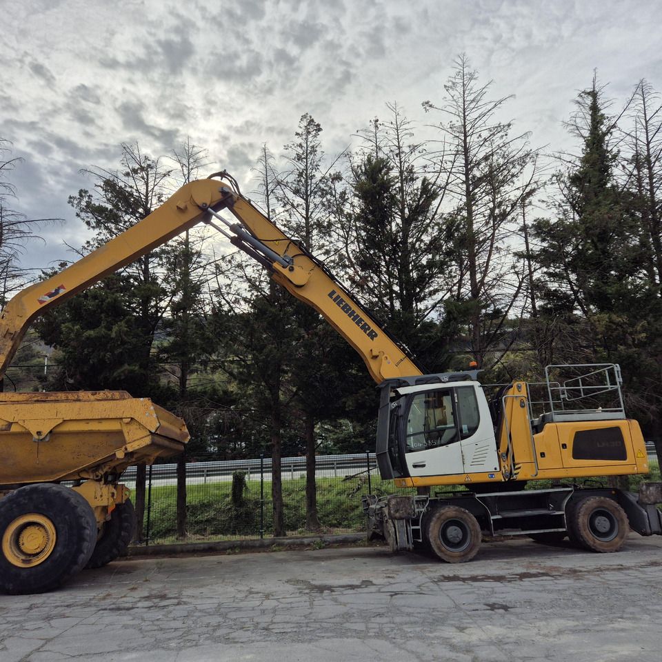 2018 Liebherr LH30 M Material Handler