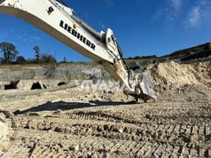 2019 Liebherr R9100 Escavatore Cingolato