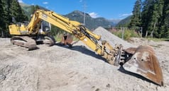 1995 Liebherr R902 STD LITRONIC Pelle sur chenilles