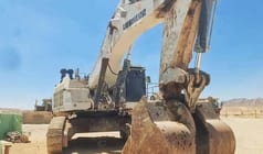2014 Liebherr R9100 Escavatore Cingolato