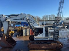 2019 Liebherr R 9150 B Crawler Excavator