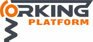 S.C. WORKING PLATFORM WP S.R.L.