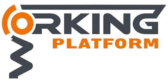 S.C. WORKING PLATFORM WP S.R.L.