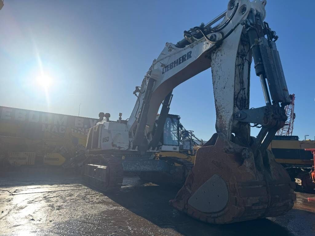 2019 Liebherr R 9150 B Crawler Excavator